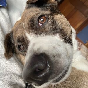 Meet your Posher, Aaron